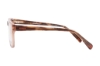 Imagen de AXESS 5111 BROWN 54-18-145
